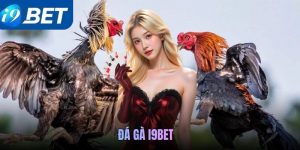 Đá gà i9bet