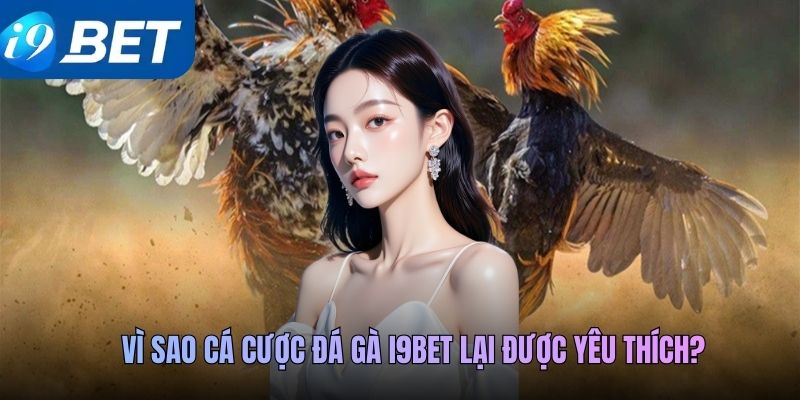 Vì sao cá cược đá gà i9BET lại được yêu thích?